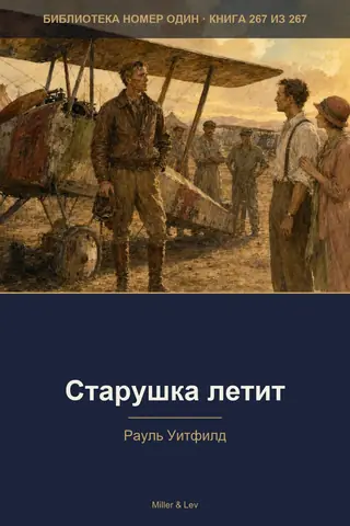 Обложка книги «Старушка летит»